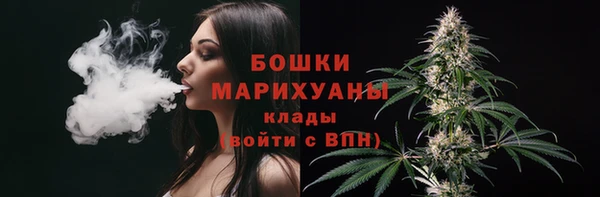 прущие грибы Лиски