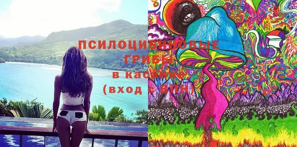 прущие грибы Лиски